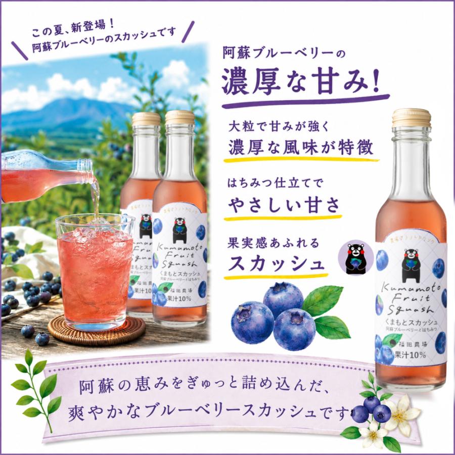 くまもとスカッシュ 6本セット 200mlx6本 阿蘇ブルーベリー はちみつ入り くまもんラベル 福田農場 |  | 01