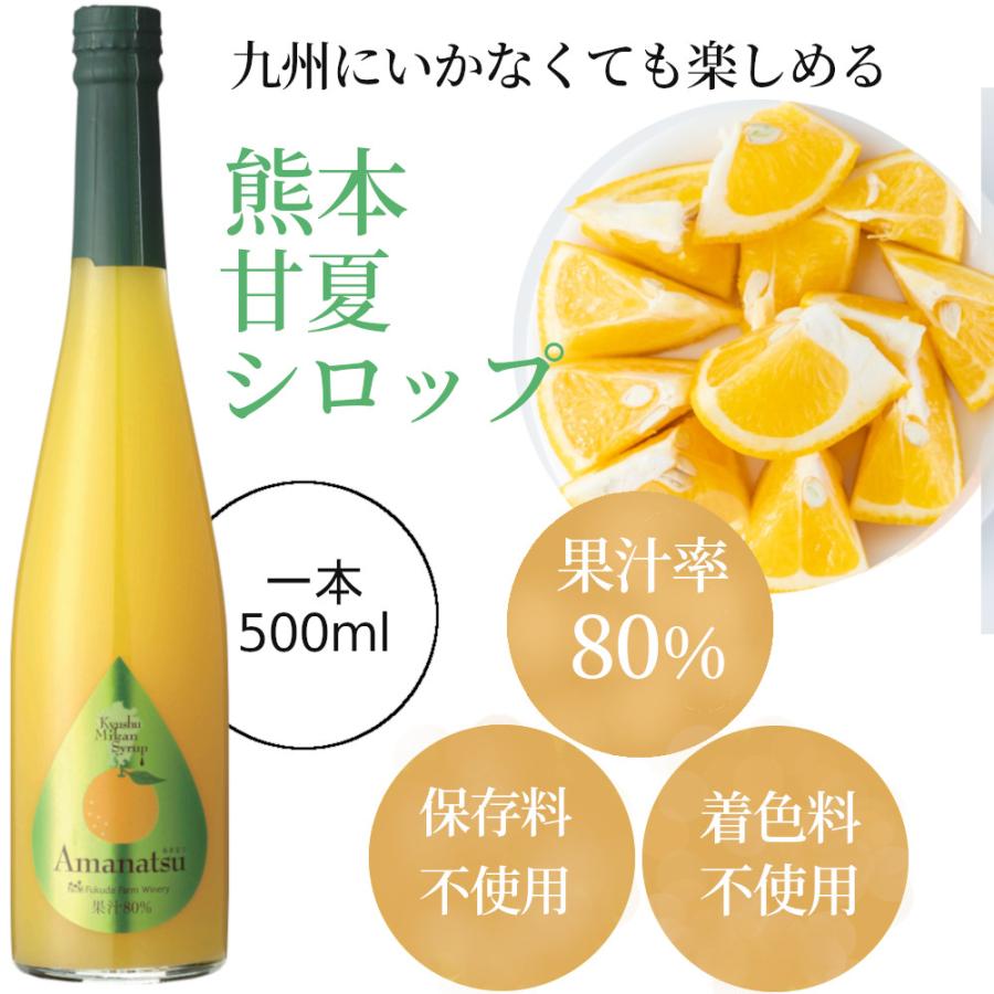 福田農場 シロップ 割り材 甘夏 希釈タイプ 500ml お酒 ジュース 炭酸