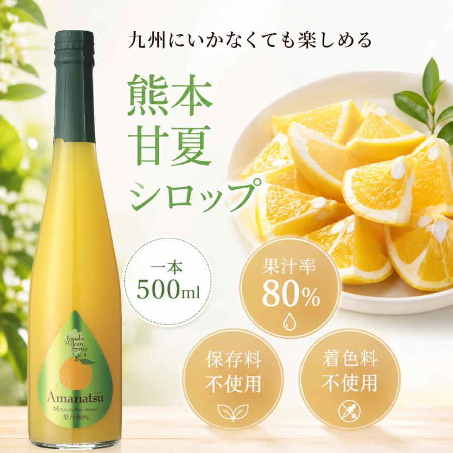 シロップ 割り材 甘夏 希釈タイプ 500ml お酒 ジュース 炭酸 九州果実シロップ 福田農場 | 福田農場 | 01