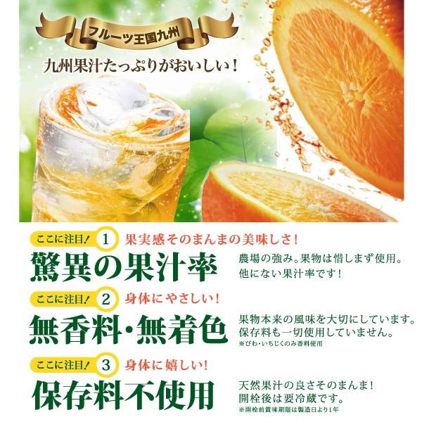 シロップ 割り材 甘夏 希釈タイプ 500ml お酒 ジュース 炭酸 九州果実シロップ 福田農場 | 福田農場 | 06