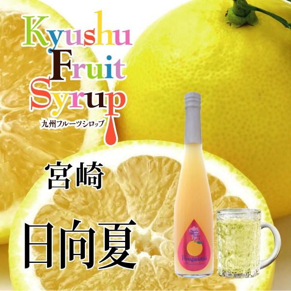 シロップ 割り材 日向夏 希釈タイプ 500ml お酒 ジュース 炭酸 九州果実シロップ 福田農場 | 福田農場