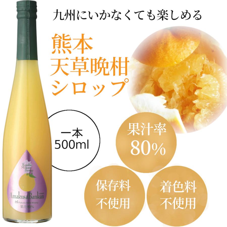 福田農場 シロップ 割り材 天草晩柑 希釈タイプ 500ml お酒 ジュース