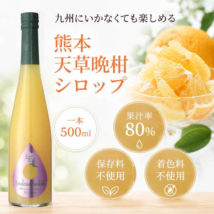 福田農場 シロップ 割り材 天草晩柑 希釈タイプ 500ml お酒 ジュース