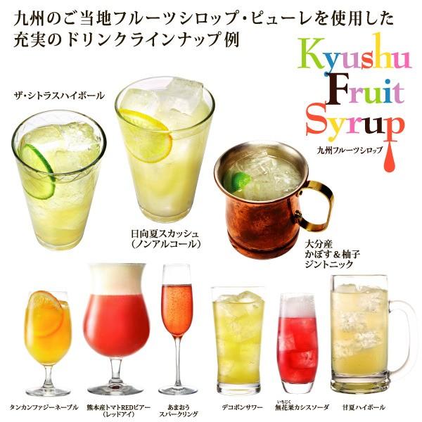 シロップ 割り材 びわ 希釈タイプ 500ml お酒 ジュース 炭酸 九州果実シロップ 福田農場 | 福田農場 | 07