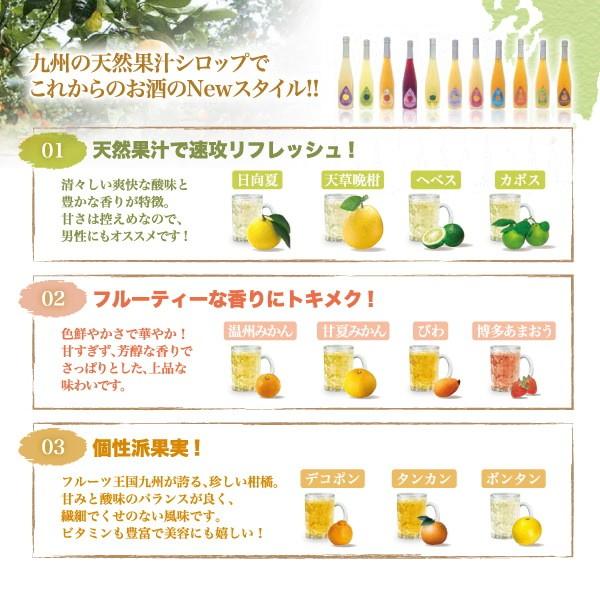 シロップ 割り材 びわ 希釈タイプ 500ml お酒 ジュース 炭酸 九州果実シロップ 福田農場 | 福田農場 | 08