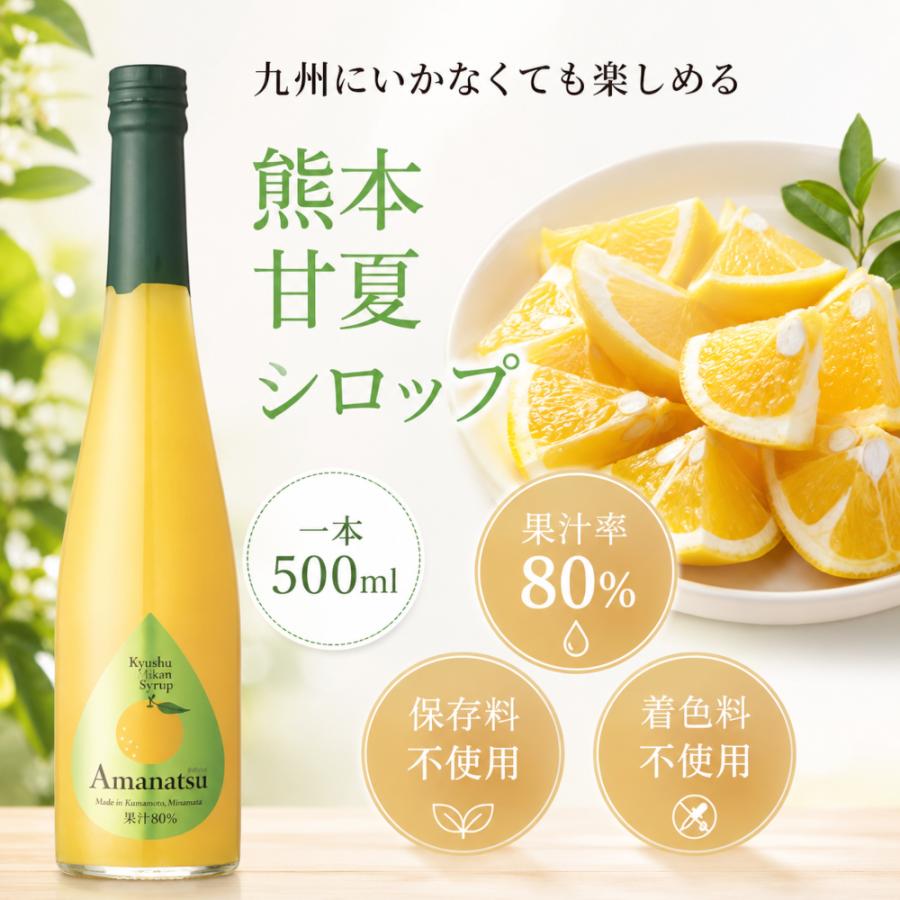 シロップ 割り材 3本セット 希釈タイプ 500ml 送料無料 甘夏 デコポン