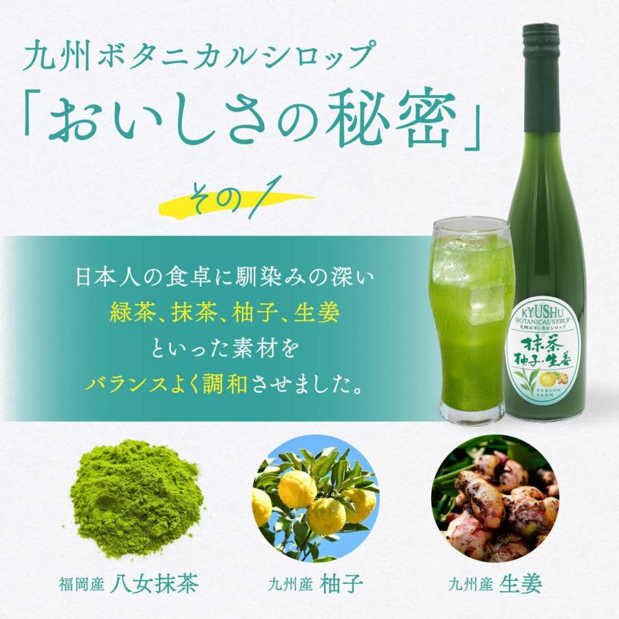 シロップ 割材 抹茶 柚子 生姜 500ml お酒 炭酸 ジュース 九州