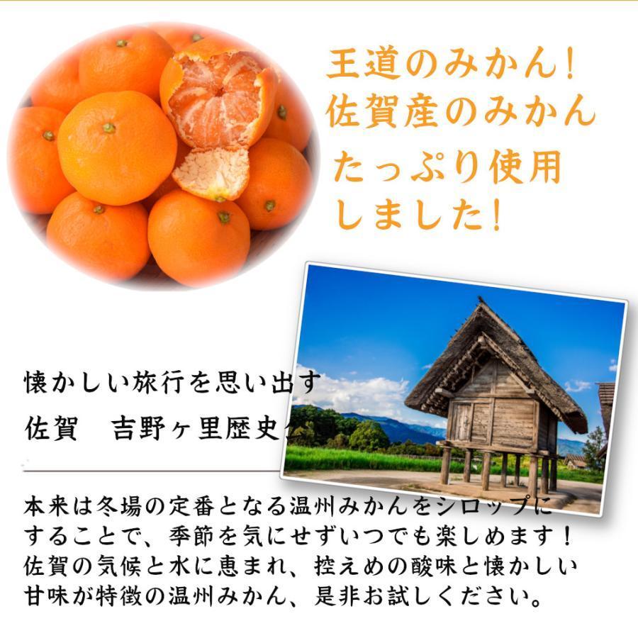 シロップ 割り材 3本セット 希釈タイプ 500ml 送料無料 デコポン 温州