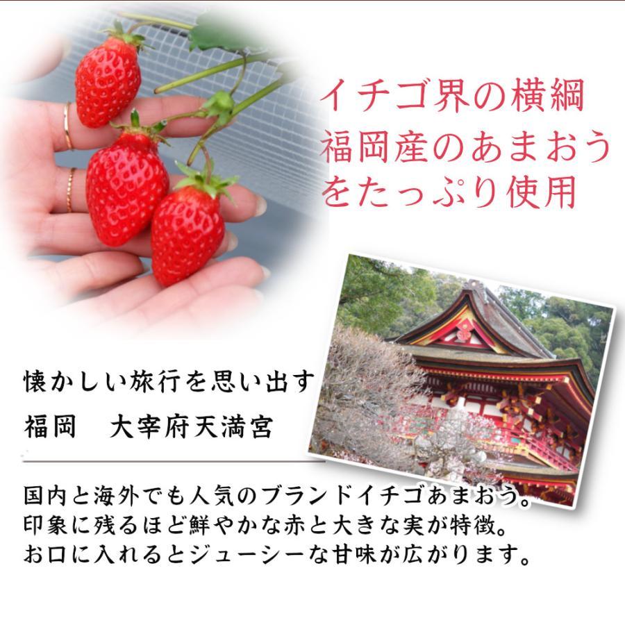シロップ 割り材 3本セット 希釈タイプ 500ml 送料無料 デコポン 温州