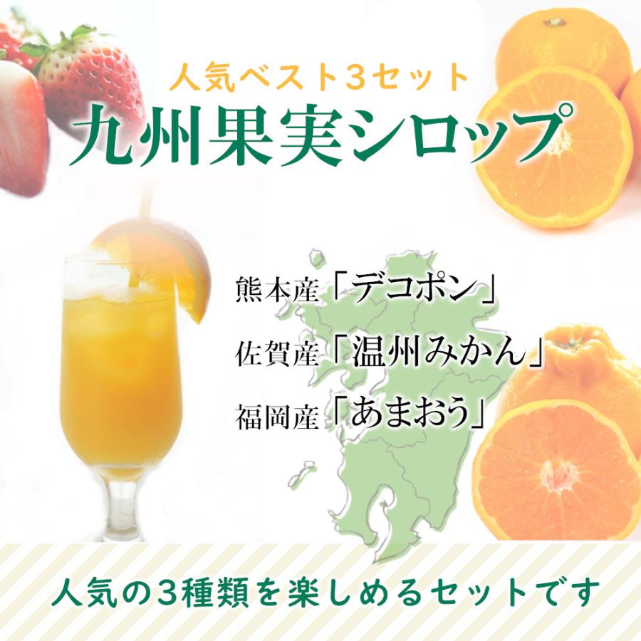 シロップ 割り材 3本セット 希釈タイプ 500ml 送料無料 デコポン 温州