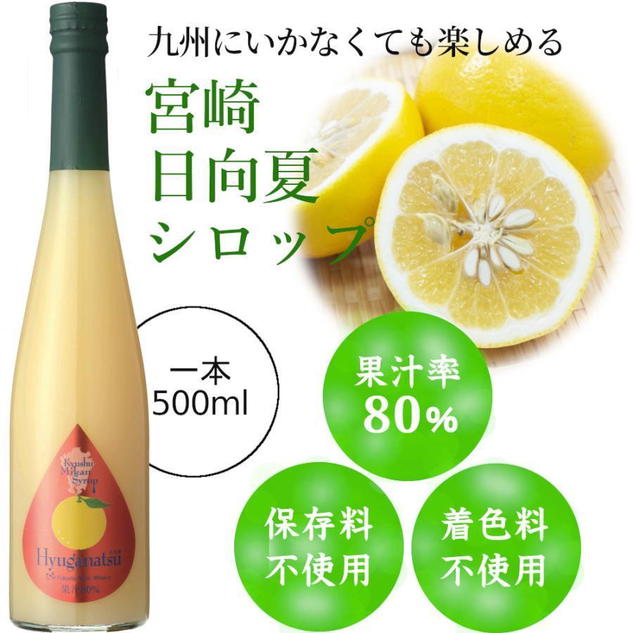 シロップ 割り材 3本セット 希釈タイプ 500ml 送料無料 甘夏 日向夏 晩