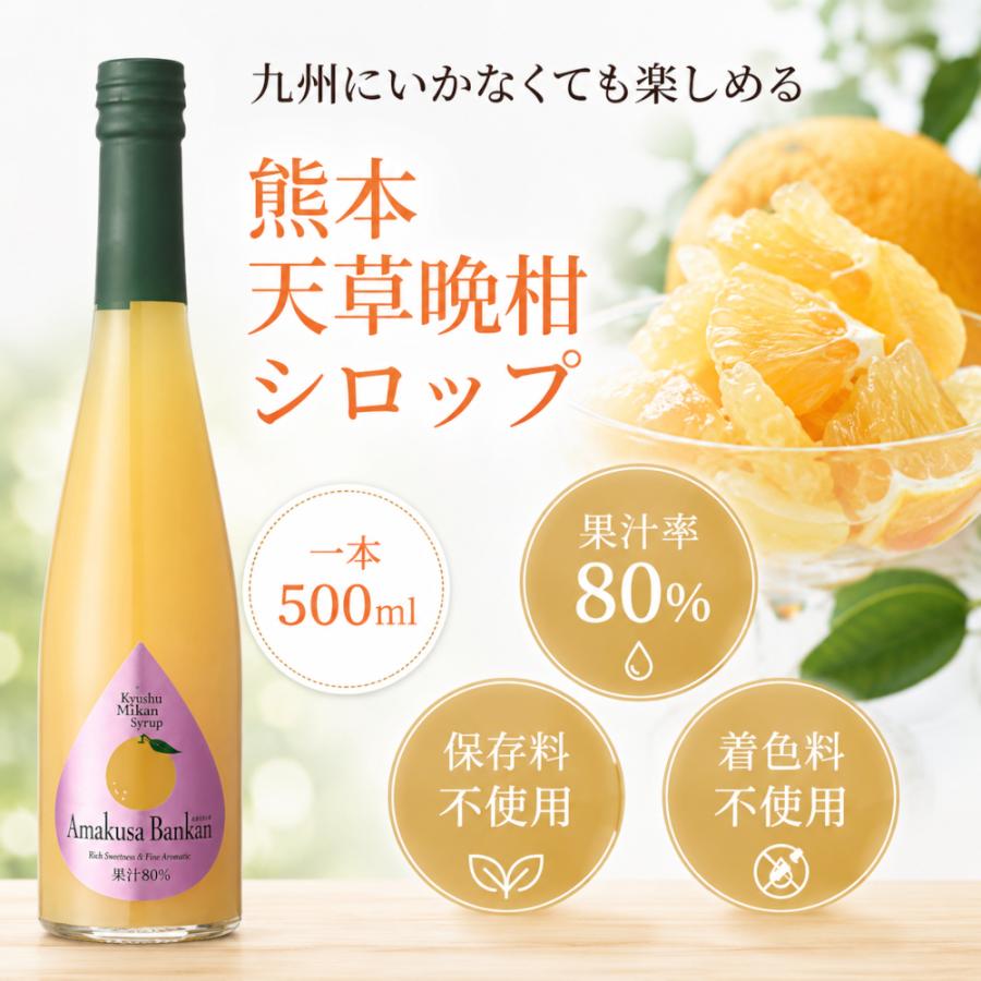 シロップ 割り材 3本セット 希釈タイプ 500ml 送料無料 甘夏 日向夏 晩