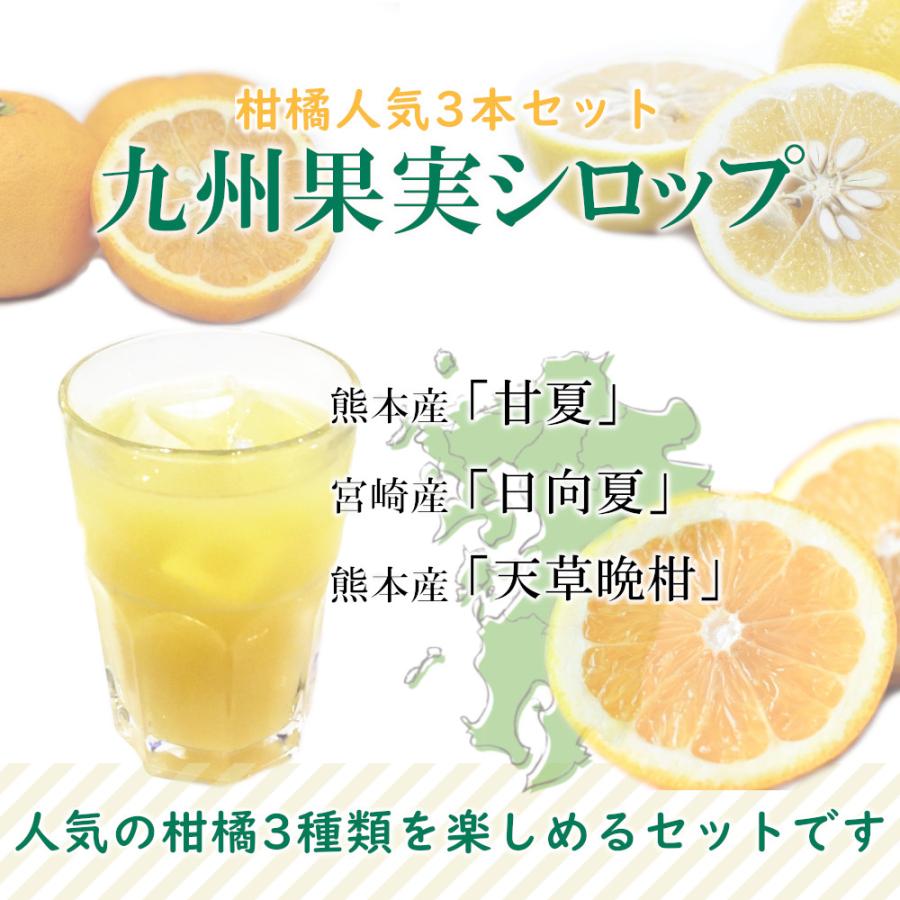 シロップ 割り材 3本セット 希釈タイプ 500ml 送料無料 甘夏 日向夏 晩