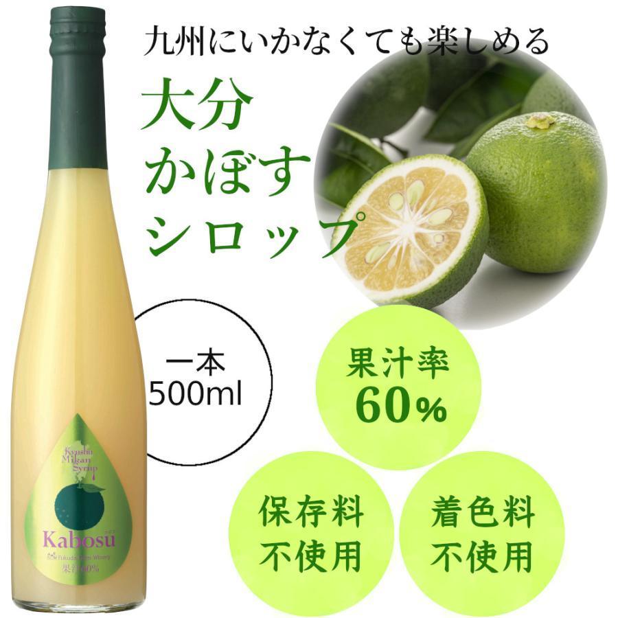 シロップ 割り材 3本セット 希釈タイプ 500ml 送料無料 カボス