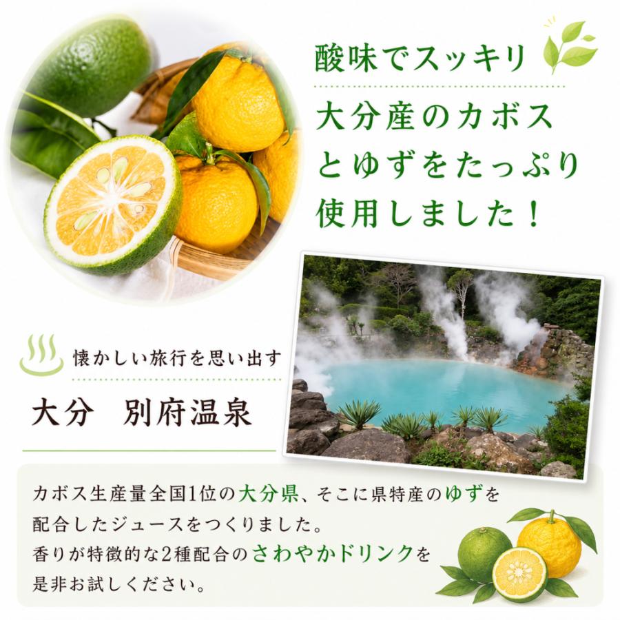 シロップ 割り材 3本セット 希釈タイプ 500ml 送料無料 カボス