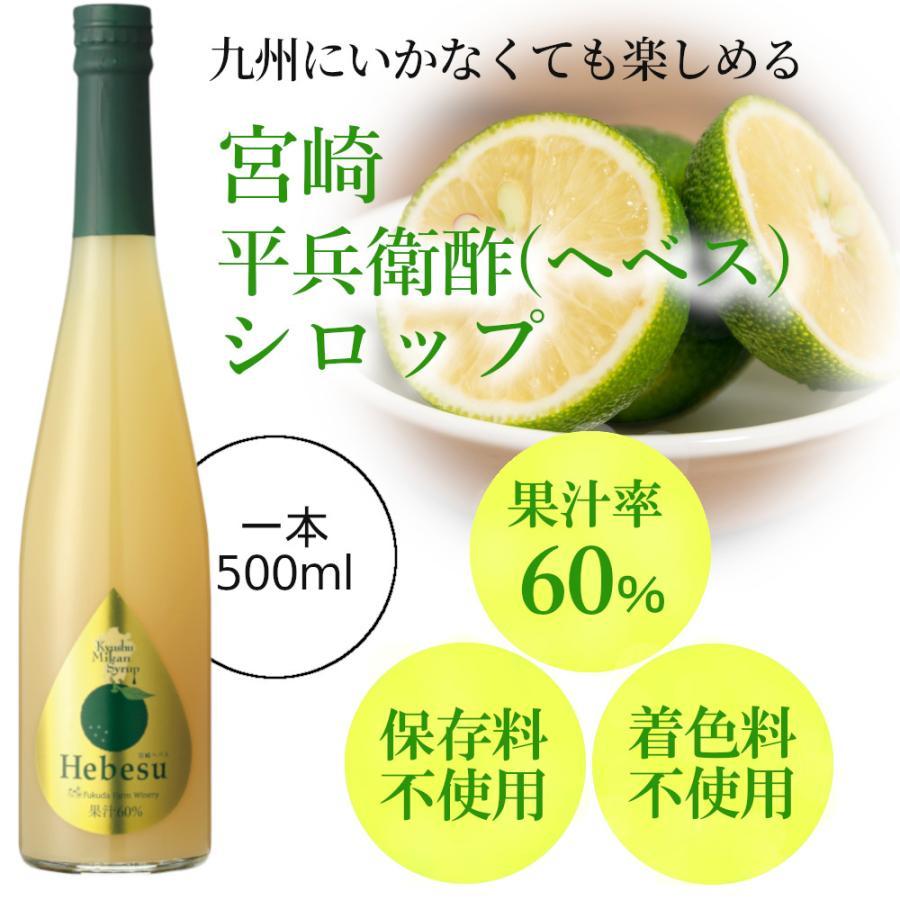 シロップ 割り材 3本セット 希釈タイプ 500ml 送料無料 カボス
