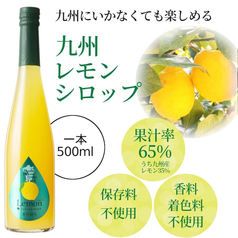 シロップ 割り材 3本セット 希釈タイプ 500ml 送料無料 抹茶 シトラス