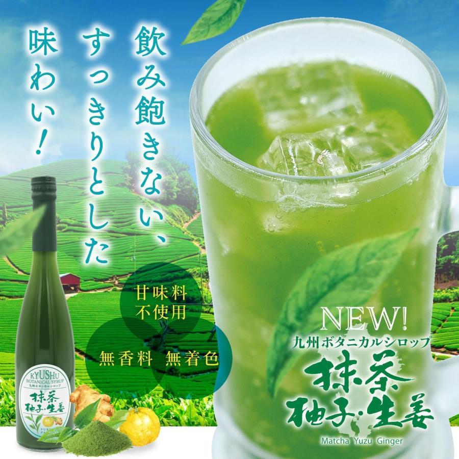 シロップ 割り材 3本セット 希釈タイプ 500ml 送料無料 抹茶 シトラス