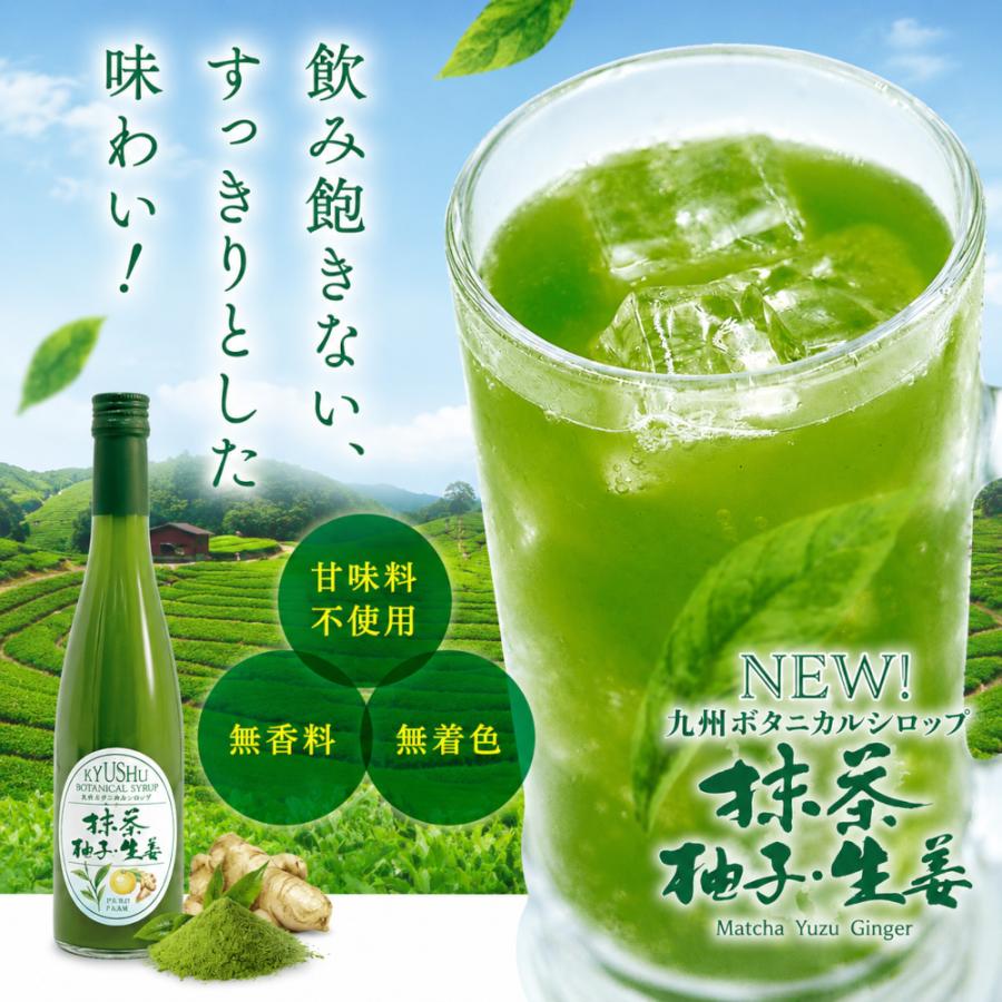 シロップ 割り材 3本セット 希釈タイプ 500ml 送料無料 抹茶 シトラス