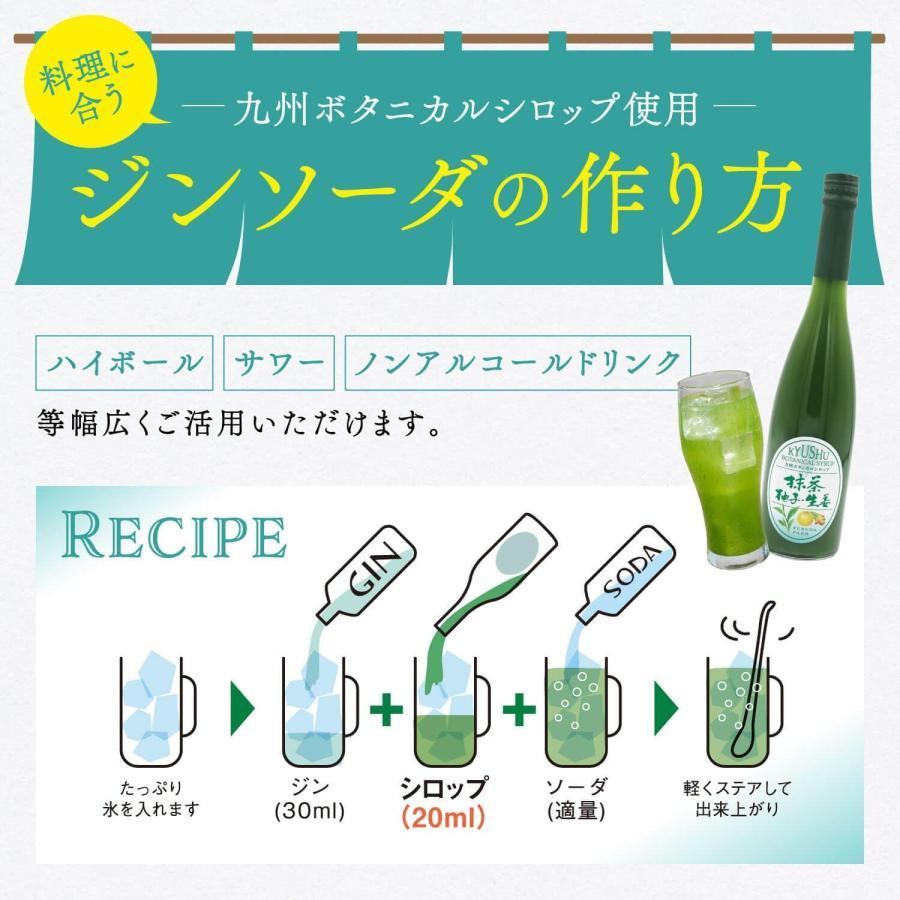 シロップ 割り材 3本セット 希釈タイプ 500ml 送料無料 抹茶 シトラス