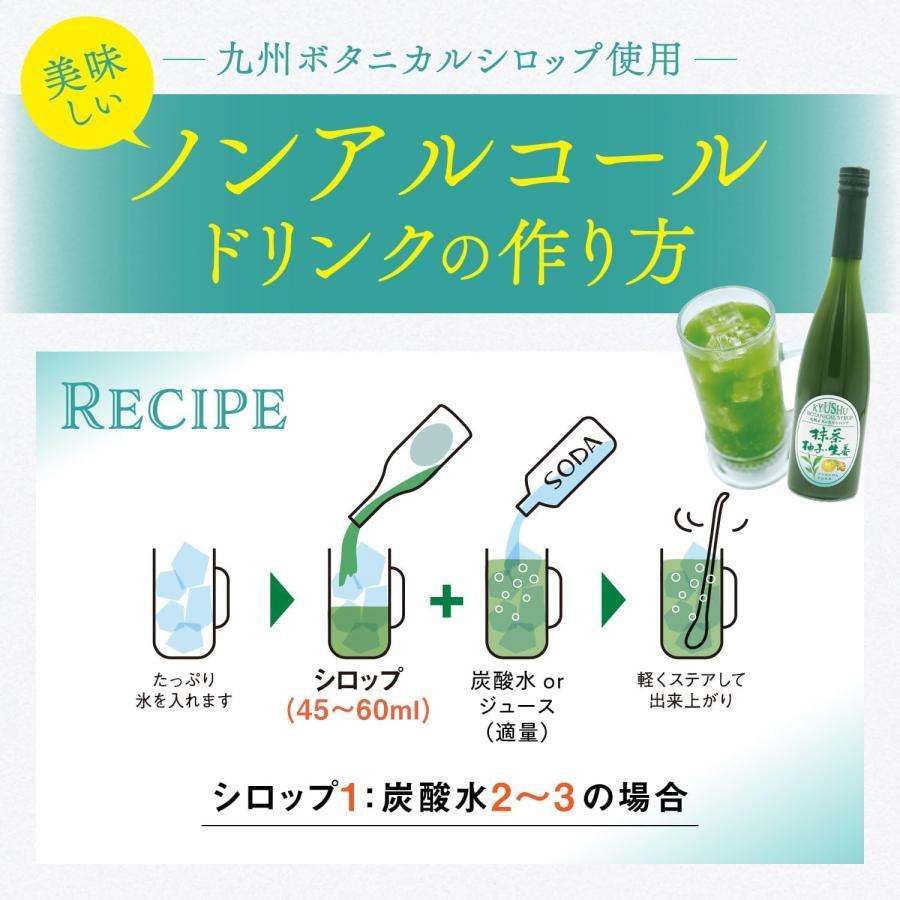 シロップ 割り材 3本セット 希釈タイプ 500ml 送料無料 抹茶 シトラス