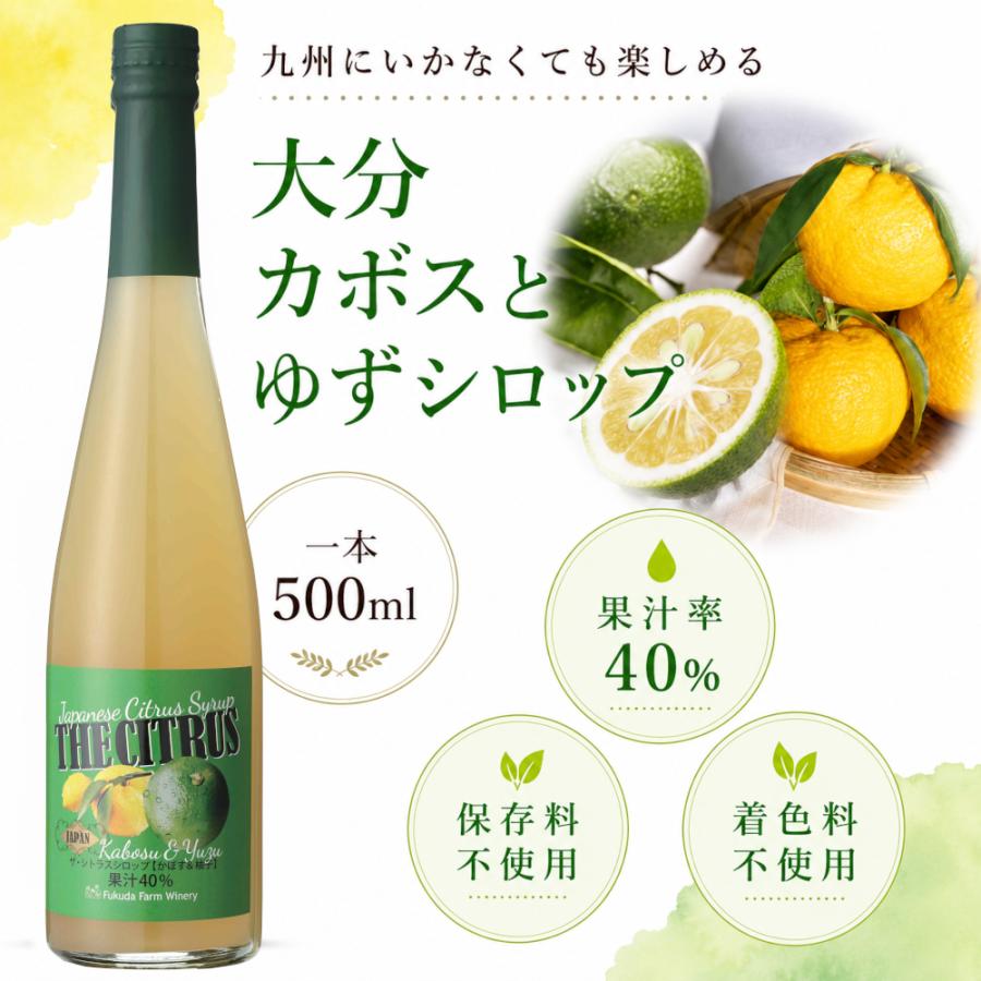 シロップ 割り材 3本セット 希釈タイプ 500ml 送料無料 抹茶 シトラス