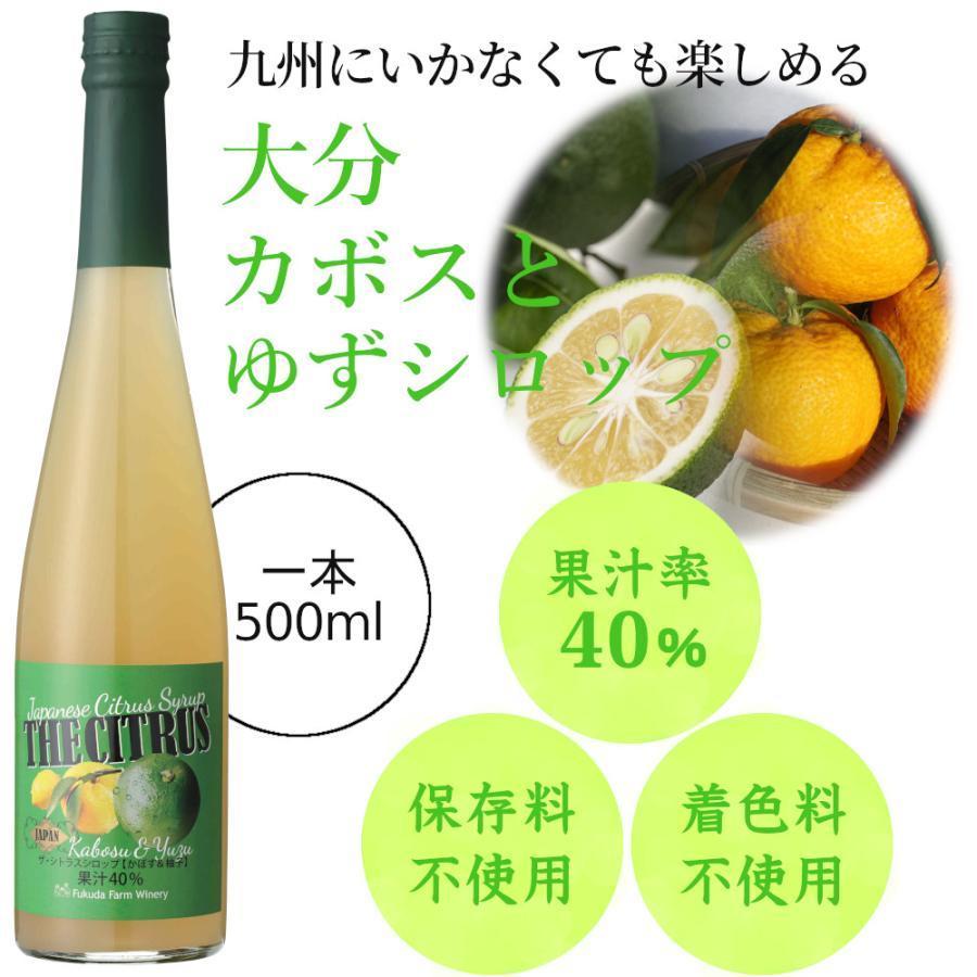 シロップ 割り材 3本セット 希釈タイプ 500ml 送料無料 抹茶 シトラス