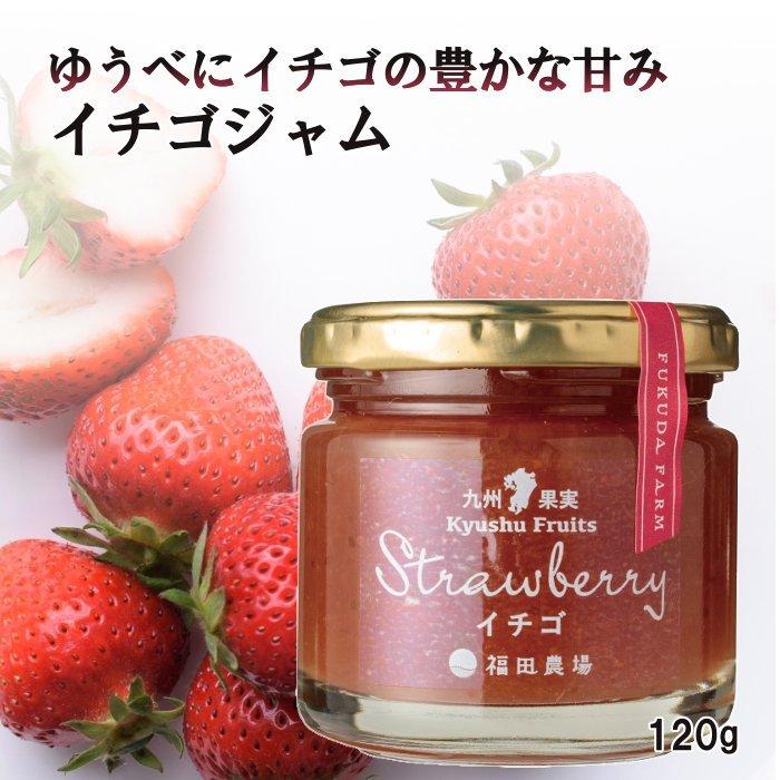 ジャム イチゴ 苺ジャム 九州果実ジャム 120g 福田農場 熊本 : 福田