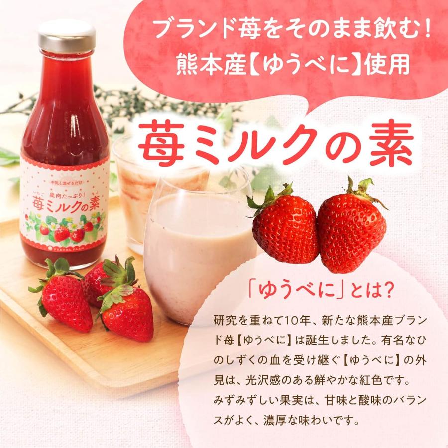 いちごミルクの素 390g 国産 フルーツジュース フルーツソース : 福田