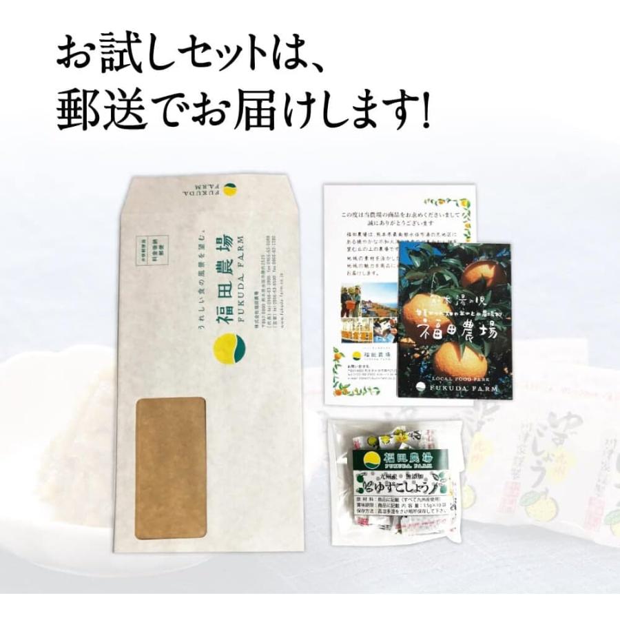 確認用　柚子胡椒セット お試し用 柚子胡椒 小分け袋 10個セット 1.5gx10個 送料無料 九州産