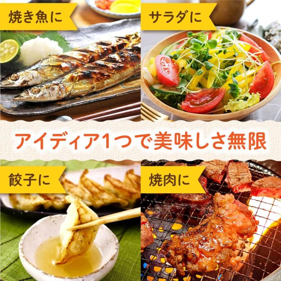 ポン酢 ぽん酢 調味料 300ml 果汁45％ 熊本 福田農場 |  | 06