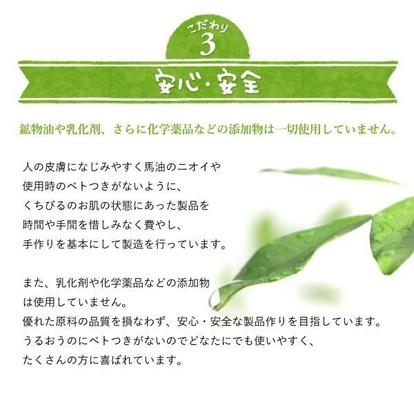 お歳暮 ギフト 2025 馬油クリーム 3個セット スキンクリーム ハンドクリーム リップクリーム 送料無料 乾燥対策 |  | 11