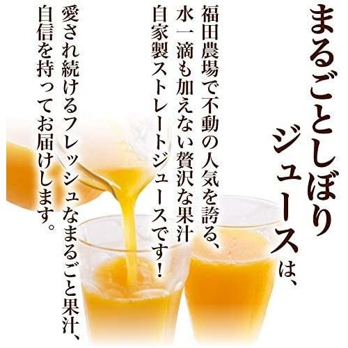 ギフト みかんジュース ストレート 飲み比べ180ml×10本セット 九州まるごとしぼり 九州 国産 |  | 05