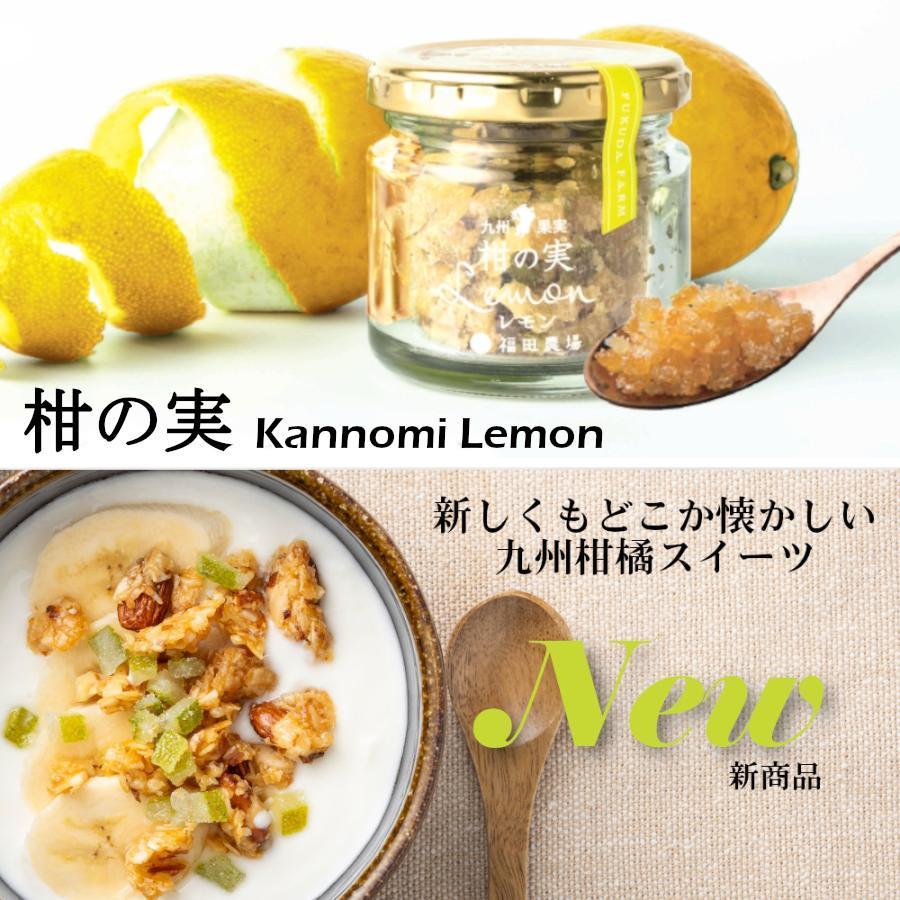 福田農場 ギフト サングリア 九州甘夏サングリア グリッシーニ 柑の実