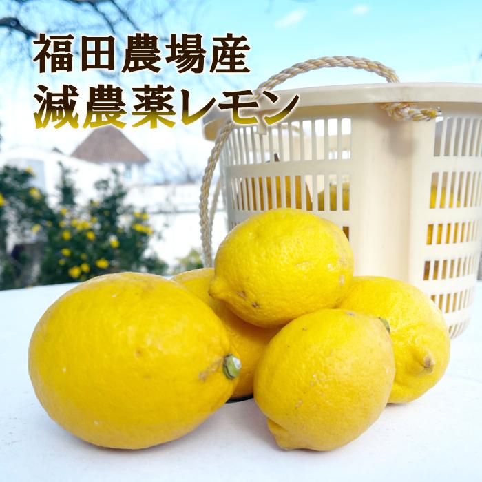 レモン 2kg 福田農場 熊本県産 防腐剤 防かび剤不使用 レモン ご家庭用 少しわけあり 有機肥料栽培 R174 福田農場オンラインyahoo ショップ 通販 Yahoo ショッピング