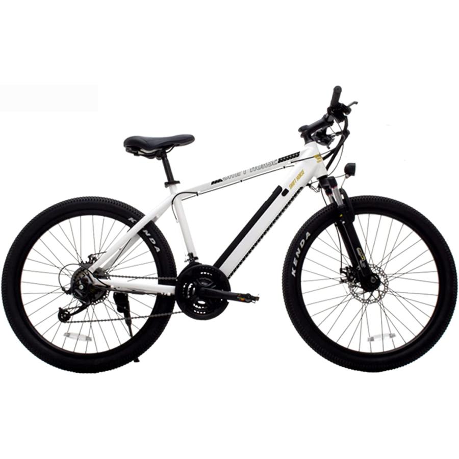 クリスマス限定価格 電動アシストマウンテンバイク 電動自転車スポーツ