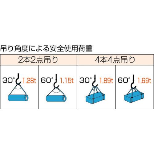 ＴＲＵＳＣＯ　Ｗスリング　Ｅタイプ　両端シンブル入り　９ｍｍＸ２ｍ　　GRE-9S2　286-9365｜fukudakk｜02