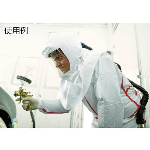 掛け軸 河田雲鳳 『 五帝四季花 』 絹本 希少 軸装 茶道具 掛軸 美品