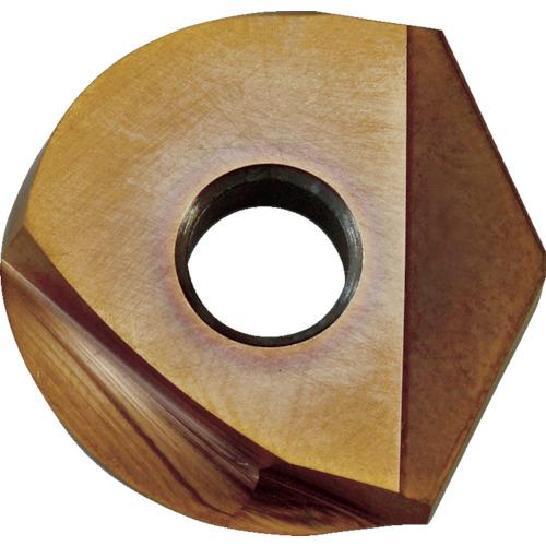 ＭＯＬＤＩＮＯ　フライス工具　カッタ用チップ　ＺＰＦＧ３００　ＢＨ２００　ＢＨ２００　　ZPFG300 BH200　429-8764