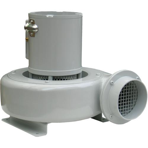特注 淀川電機 電動送風機 逆吸込型 Ｚシリーズ 単相１００Ｖ （０