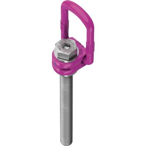 RUD ロードリングプラスロングボルト VLBG−PLUS−M16L