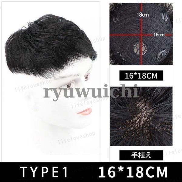 ウィッグ メンズ 短髪 フルウィッグ 自然 人毛 ショートウィッグ 男性 かつら 薄毛 円形脱毛 脱毛症 増毛 つむじ 薄毛隠し ウィッグ 部分ウィッグ | ブランド登録なし | 05