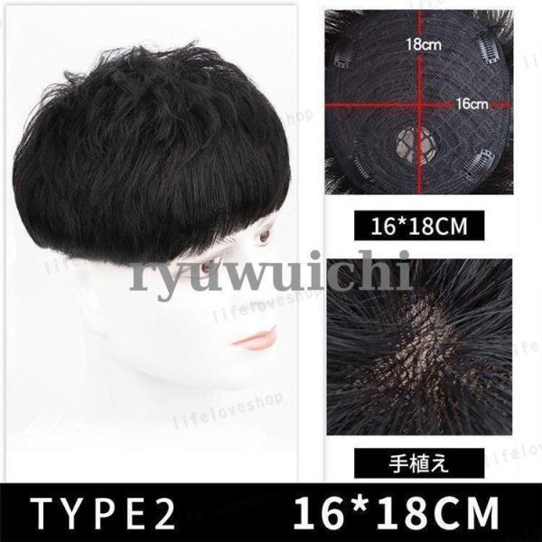 ウィッグ メンズ 短髪 フルウィッグ 自然 人毛 ショートウィッグ 男性 かつら 薄毛 円形脱毛 脱毛症 増毛 つむじ 薄毛隠し ウィッグ 部分ウィッグ | ブランド登録なし | 06