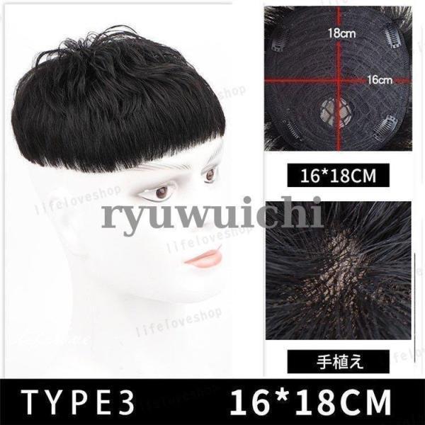 ウィッグ メンズ 短髪 フルウィッグ 自然 人毛 ショートウィッグ 男性 かつら 薄毛 円形脱毛 脱毛症 増毛 つむじ 薄毛隠し ウィッグ 部分ウィッグ | ブランド登録なし | 07