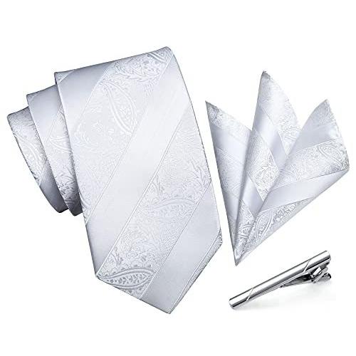 輝く高品質な ヒスデン Hisdern ネクタイ 白 結婚式 チーフ メンズ ビジネス ハンカチ おしゃれ ネクタイネ 3点セット クリップ 高級 礼服 メンズ セット 超激安 Www Sei Ba Gov Br