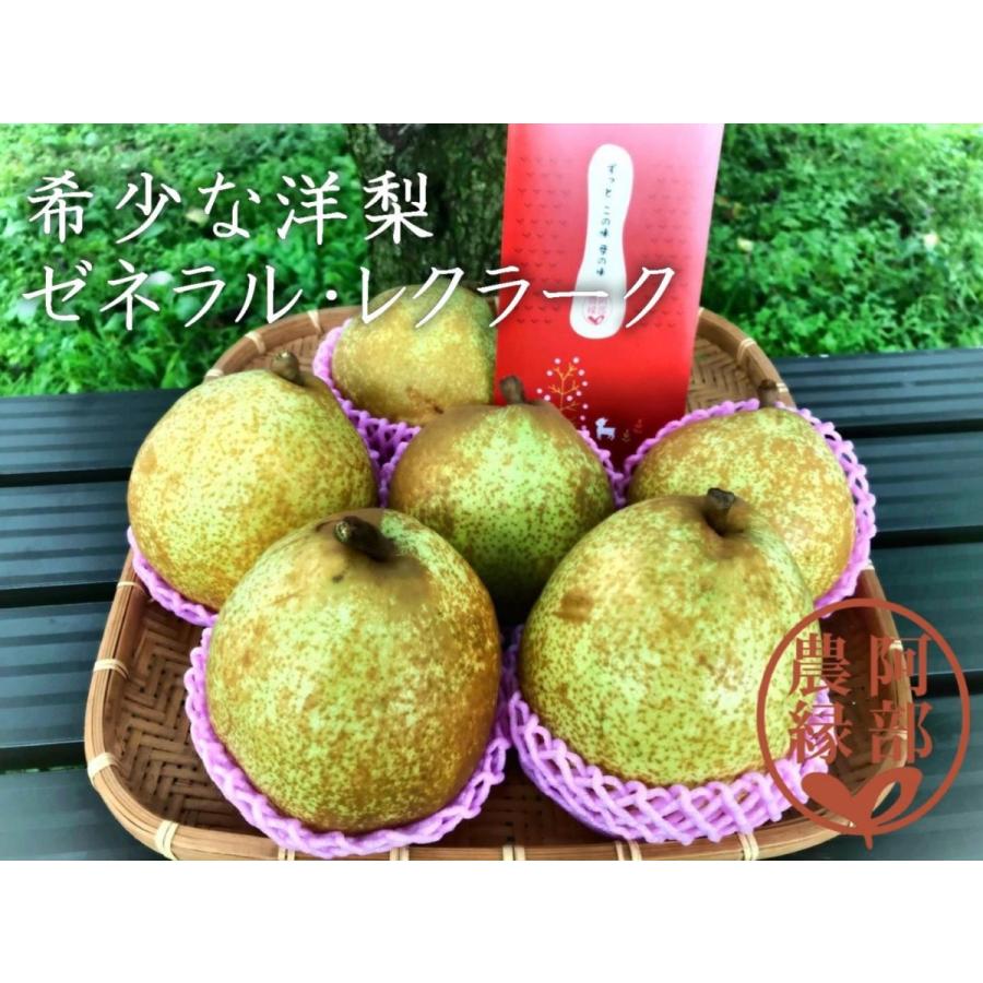 洋ナシ 洋なし 返品交換不可