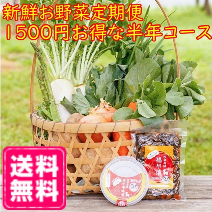 福島県産の朝採り新鮮野菜とご飯のお供セット