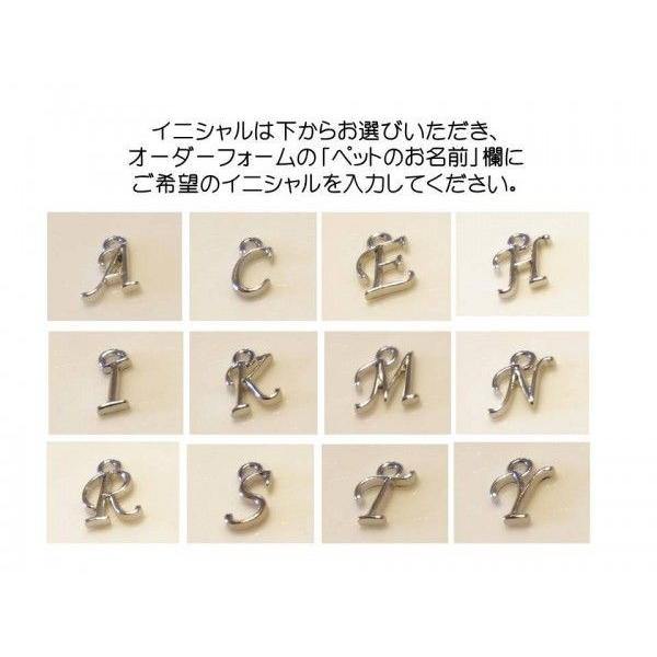 ペットのイニシャルと誕生月 亡くなった月のカラースワロフスキー付き 思い出カプセルキーホルダー シルバー 激安特価品