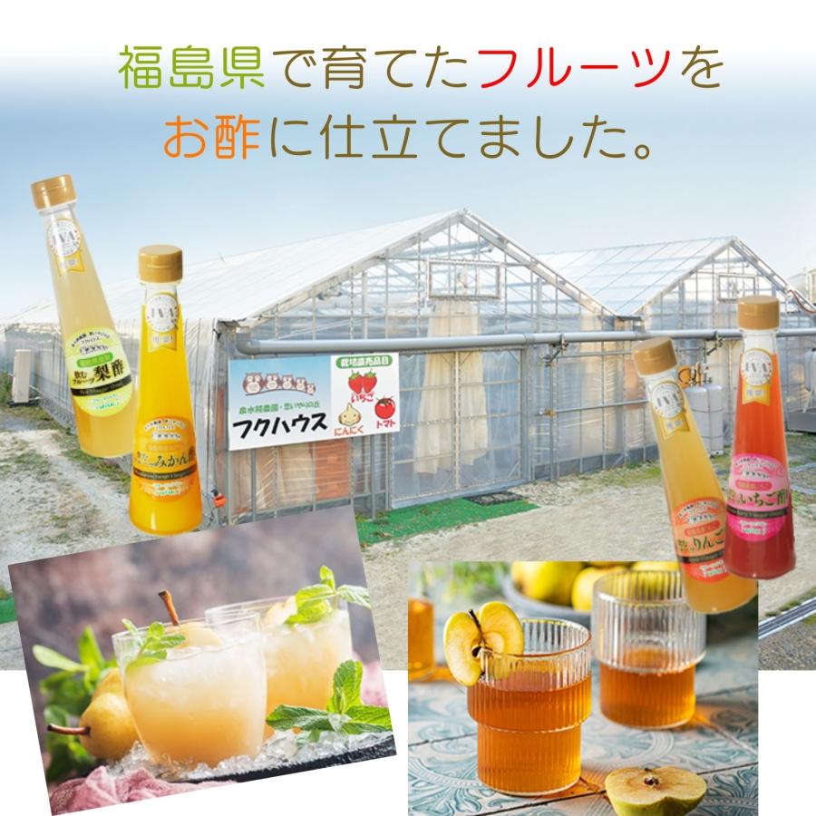 果実酢 健康酢 飲む酢 『オール福島フルーツ りんご酢 ５本セット』 父の日 誕生プレゼント 酢 健康飲料  ダイエット 福島プライド ギフト｜fukuhaus｜09