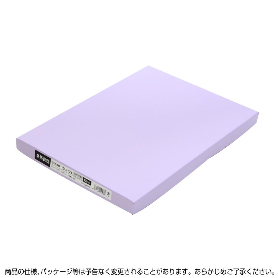 ササガワ　タカ印　10-3171　金箔賞状用紙 B4判 横書用 白 100P　100枚_3